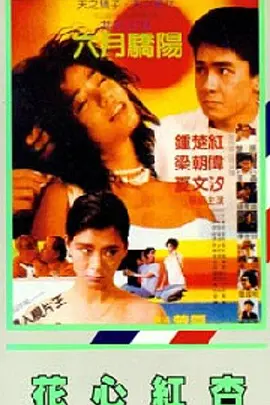 在线 免费视频