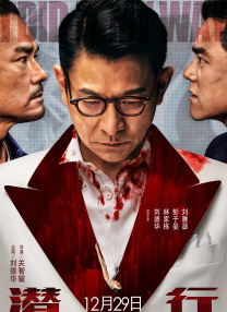 轻佻寡妇在线观看
